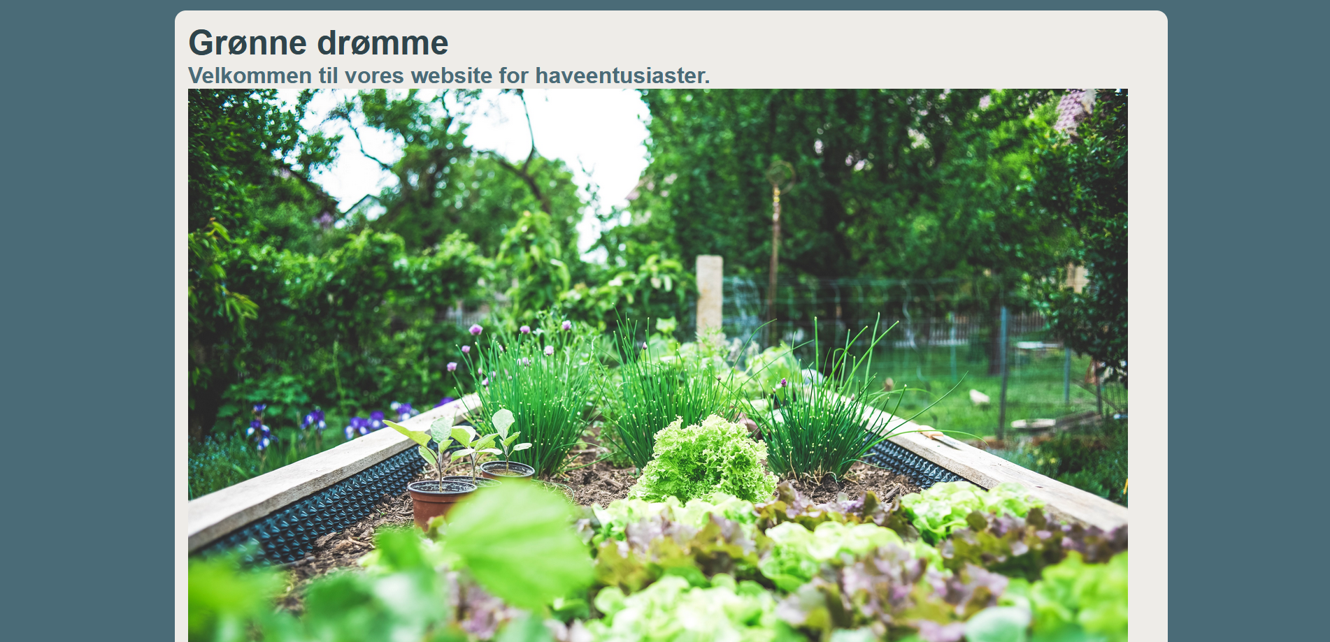 Green Dreams Website